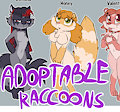 *ADOPTABLES*_Raccoons