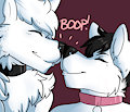 Boops!~