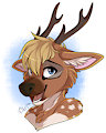 Headshot by Citrinelle