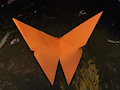 orange butterfly origami