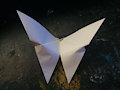 white butterfly origami