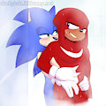 Sonic and Knuckles take a shower (SFW)