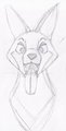 *sketch* front face pic J by Aurorapuppy