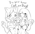 cat or dog