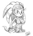 SONIC: Shade the Echidna by sssonic2