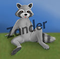 Zander - The raccoon