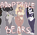*ADOPTABLES*_Bears