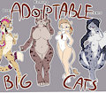 *ADOPTABLES*_Big cats by Fuf