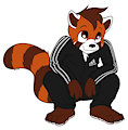 Red panda squat by HalcyonWinter