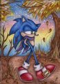 Autumn's Last Walk by SonicBornAgain