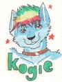 Kogie badge
