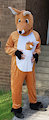 My Kangaroo costume by ninetales666