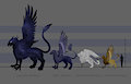 Gryphon Size Chart