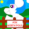 Ask North Pole
