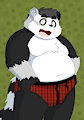 Symphy the Panda