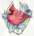 Watercolor Cardinal*-ORIGINAL AUCTION: 6 HOURS LEFT!!-*