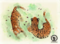 Tigers on watercolors