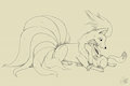 C: Ninetales and Glaceon