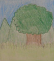 Tree in the Meadow