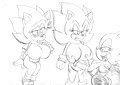 Super Lady Sonic and Rouge