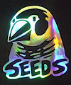 Seeds - holographic patch