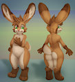 Bunny form redesign