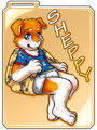cms243/ Badge: Sheppy