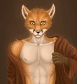 The Fox Boy by Imiak