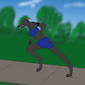 Greyhound run