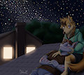 Commission: Under the Stars
