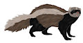 A Ferrunk (Ferret/Skunk Hybrid)
