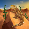 Bearded Dragon in Desert