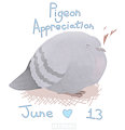 Pigeon Appreciation Day