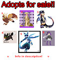 Adopt re-sell - Cleaning my characters by PocketChance