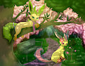 Leafeons for Leafeon day? (Re-up)