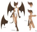 Carnavats - Female Sheet