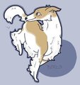 Borzoi~