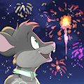 Summer fireworks (by Jonas)