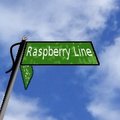 Raspberry Line Chapter 23