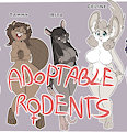 *ADOPTABLES*_Rodents 2/2