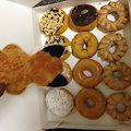 Fox Runs on  Donuts by SakidoIratu