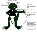Chase the lizard reference sheet