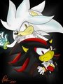 silver and shadow by frillyreptile
