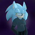 Sonic with clothes