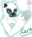 Kara Owl