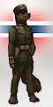 Norwegian WW2 uniform [C]