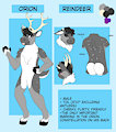 Ref Sheet - Orion [P] by AliyahPup