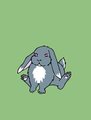 Grey Bunny by Bun