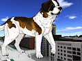 Macro ST. Bernard Dog