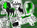 Tabby Reference Sheet